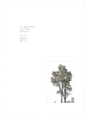 "Langs mekaar" ORIGINAL ARTWORK